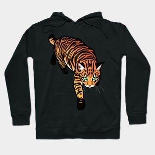 Tiger Tabby Manx Hoodie